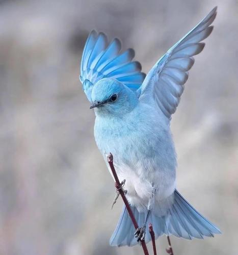 RDT_20251211_1624486330562767053667437