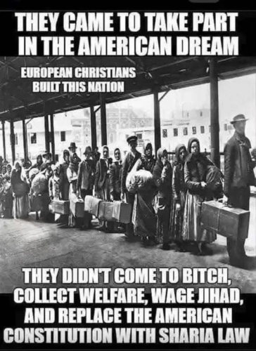 d4536d4128469ea0f96a7121767d713a