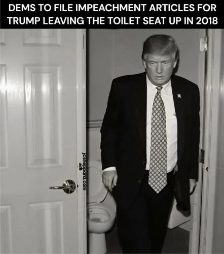 impeachment-toilet-seat-up