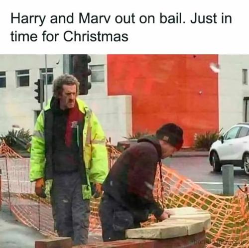 christmas-memes-28-20251208