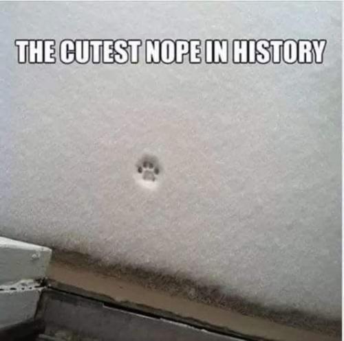 image_83D820FB-14BE-43D7-A71F-A1D69C912178