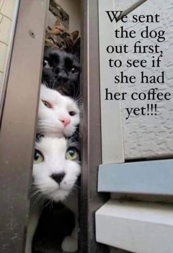 cccc338dadd3df898b9c3433ff9cdd70