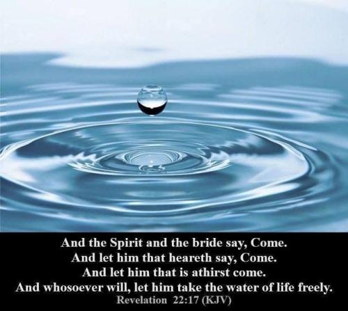 8b65a33b-c366-4243-a76c-080f42270b2a