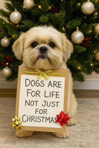 593540263_826890086987385_6245113828801716936_n