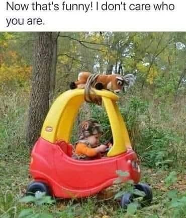 90347fe1-8422-473d-83e7-d3b87c619fd8