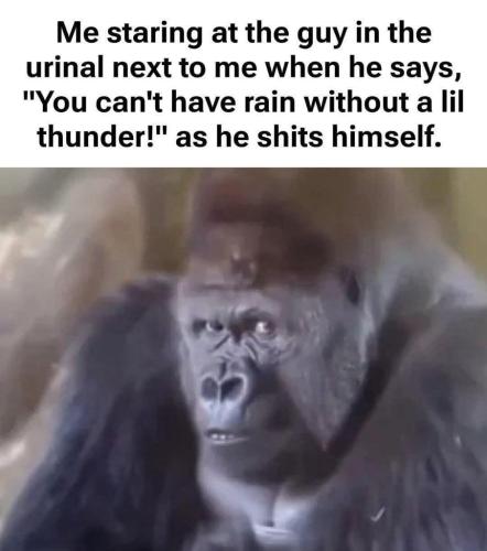 327AC53E-51B2-4931-B059-B70F1DAFA448