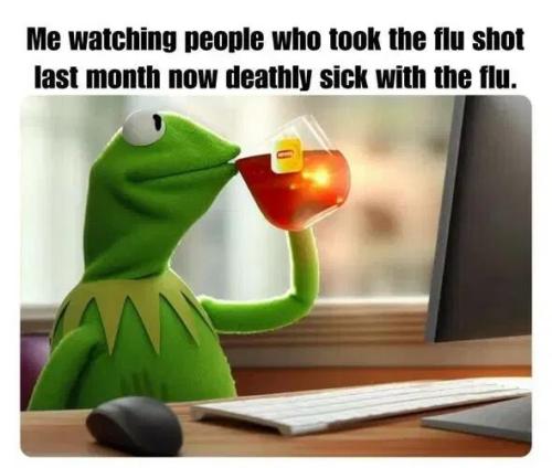 d533cfcea56439e7138a52b8d8727982