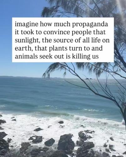 d7c51a4f-f75b-4fac-9ed2-245fd74ba2ec