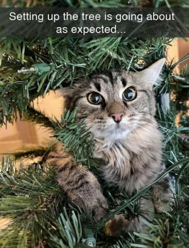 b5b04299895ac19b143721ac32d97101