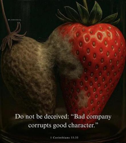 81cc8be66f422d3d5df5d666f800b511