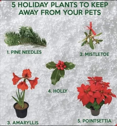 79034e19e1ef0b5a10abb4019de4b9af