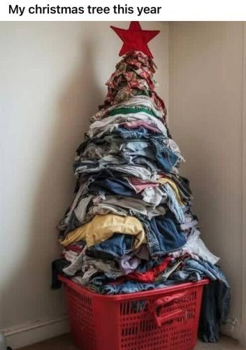 IMG_20251201_093227_812