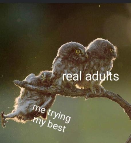 Screenshot_20251229_081405_Gallery