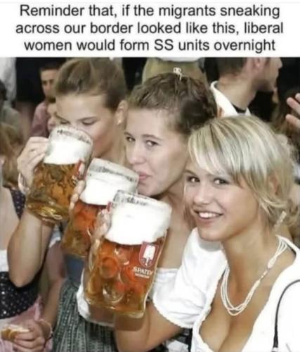 illegal immigration524