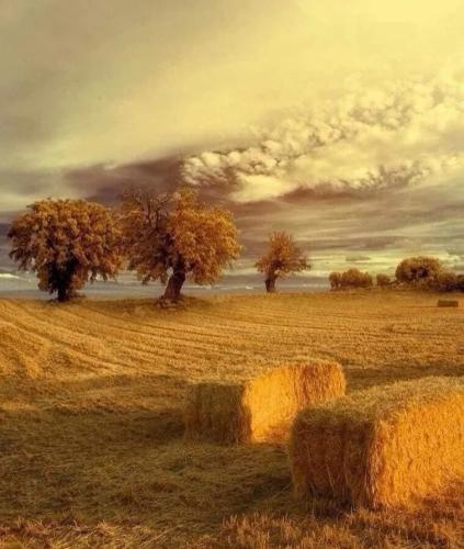 RDT_20251223_0700052146459580470200377