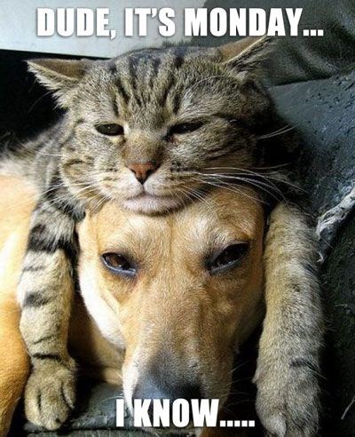 dude-its-monday