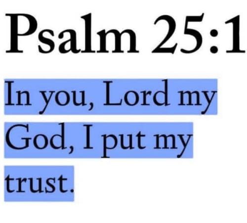 IMG_20251228_112601_378