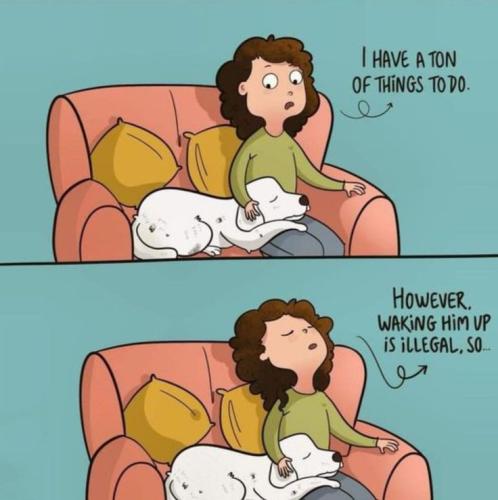 9e027cd70624a8192404a444f9d9e26e