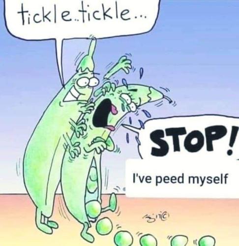 FB_IMG_1764560233955