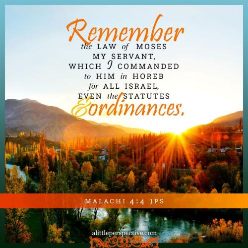 mal-4-4-JPS-pixabay-9x