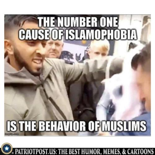 Islamaphobia Cause