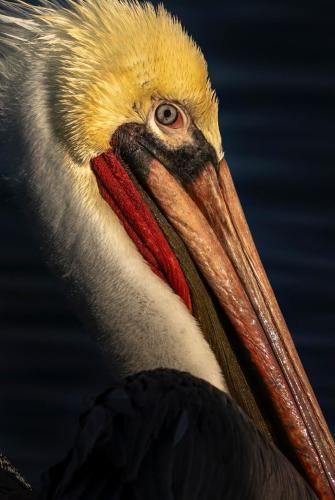 RDT_20251210_1423453712043069741536827