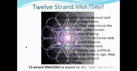 ,          ,  0424775766_746362