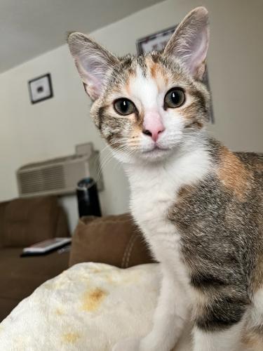 5472C15A-B49F-4476-B9B7-F6B2B53AFF85