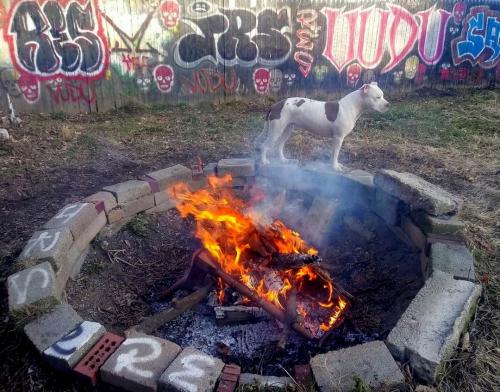 Screenshot_20251227_213525_Photos~2