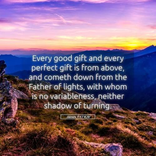 7c7b77f1-3b68-4ba0-9d5c-99a87d255499