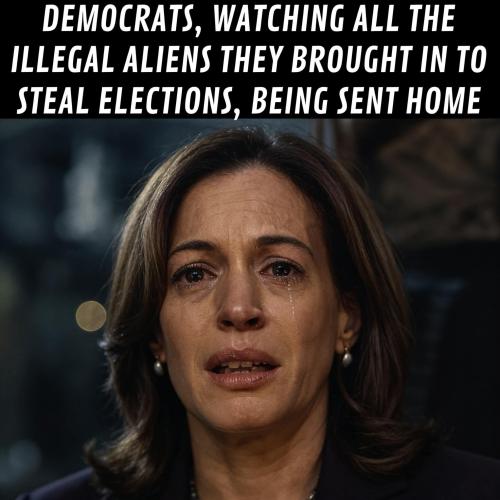 FB_IMG_1766240564390