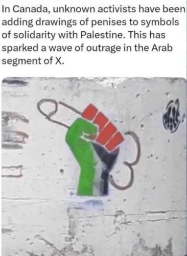 penises-solidarity-palestine