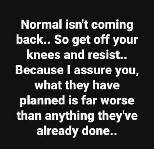 normal-not-coming-back