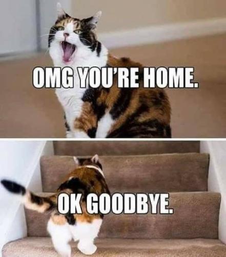 99882c2e0ffca3ebcbc64edf4b9790cb