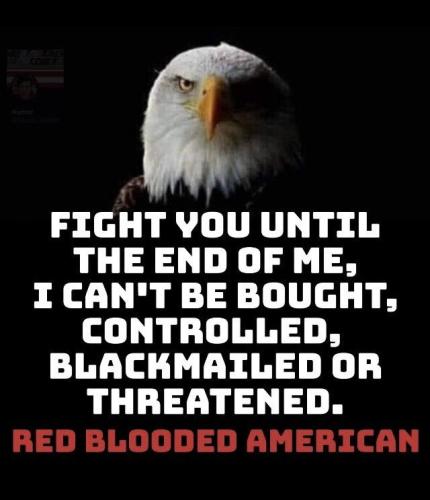 IMG_20251214_165919_917