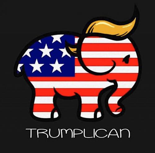 54fb76572dd1bcef0df4e27c09da9ad8_1024