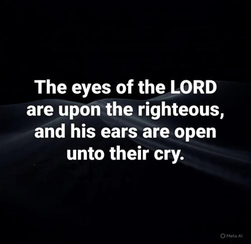 e874aa10-a0df-407c-b31d-ff2bd489691f