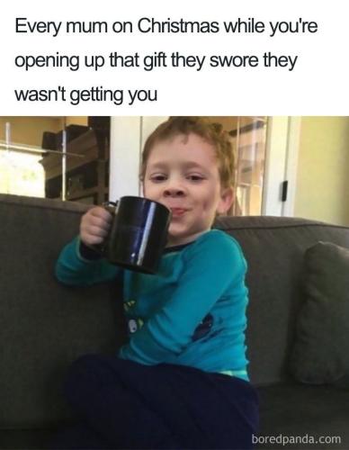 christmas-memes-121-5bfd372865cf5__700