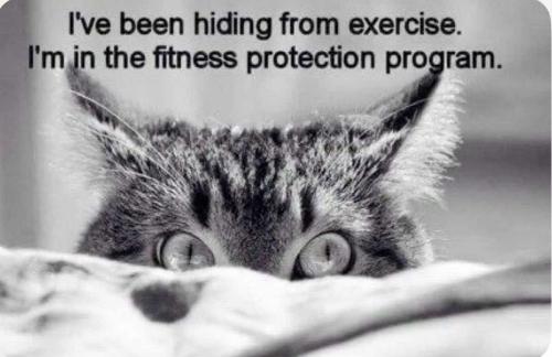 pbqUOBzzr592bxZGXdVA_27_e0e03230b7e8f31ce9c3632bdf326c83_image