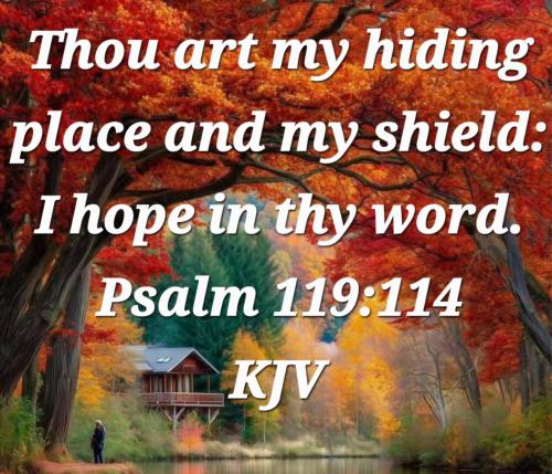 02d91abb-4451-4fb2-b6f0-9ca75fc6b8e0