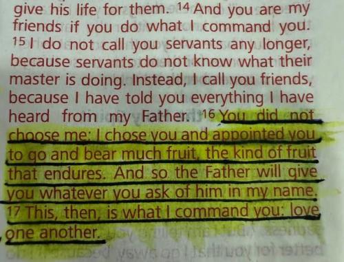 IMG_20251202_131649_647