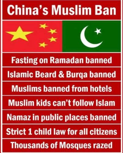 FB_IMG_1766167739686