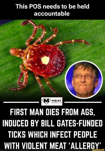 dd1175513e7c68bd2a1de540d86aad4eafd3c1f74e839c09f7e9d51edbae5709_1