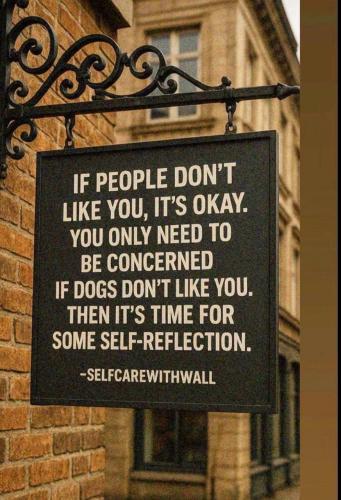 IMG_20251211_124355_127