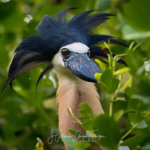 RDT_20251205_1633568459467651026253536