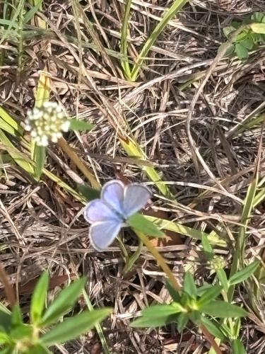 BFD37AED-4995-4586-844B-7810B4E36F7D