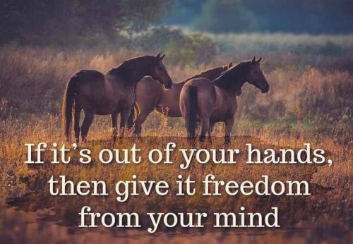 IMG_20251225_091130_878