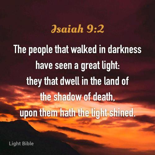 d40778b7-8832-41d0-8011-783fb50c4c16