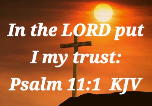 3b26c539-0922-44d3-a083-bdebb7c126a5