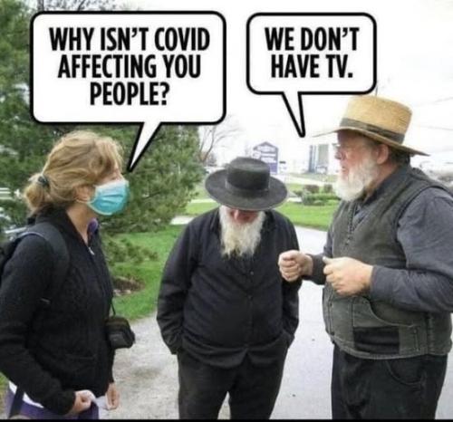 Amish tv